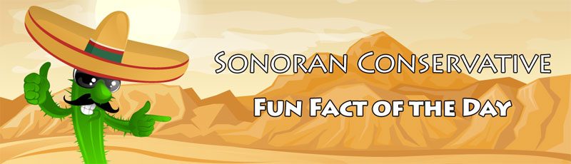 fun_fact_of_the_day_banner